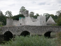 Adare ruined castle.jpg